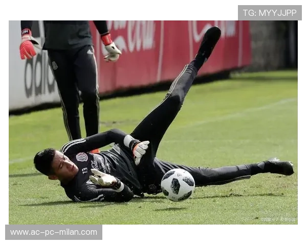 加拿大防守反击制胜，阿方索挑传致胜一球